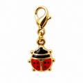 Coccinella