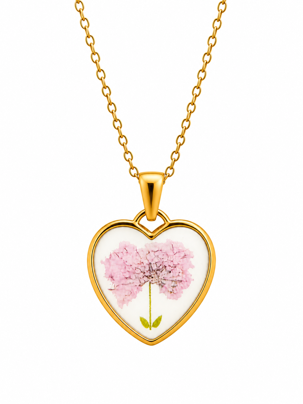 Collana Rinasci